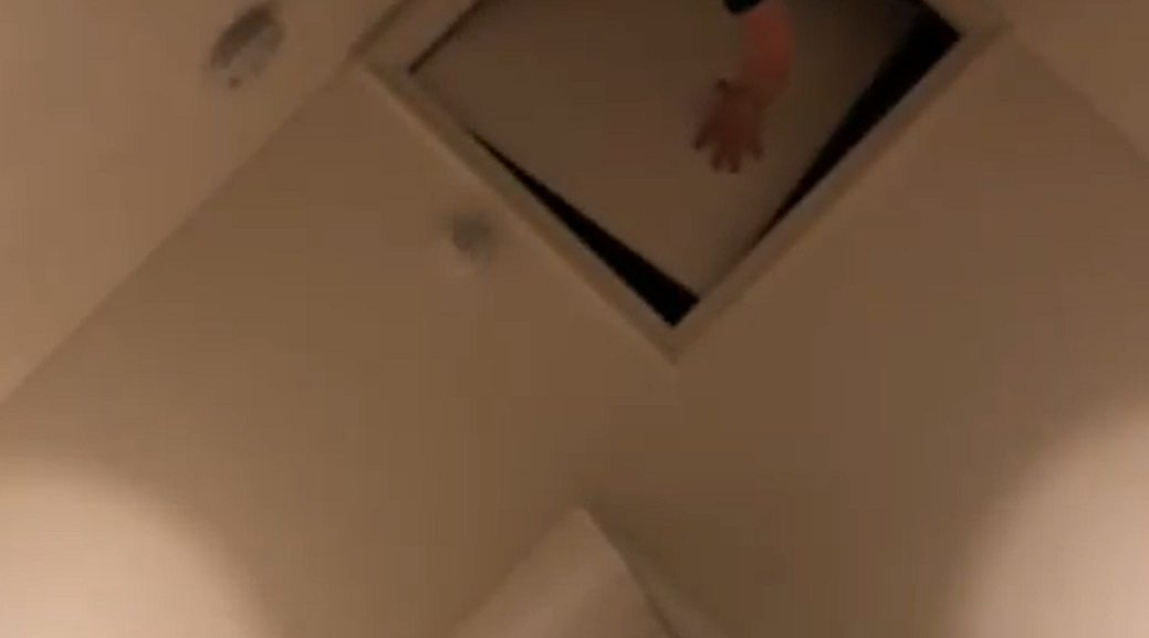 Strange Noises in the Attic