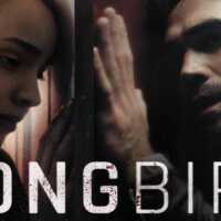songbird-review-an-incorrect-film-at-an-incorrect-situation