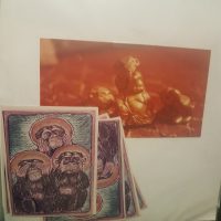 inceneritore 1