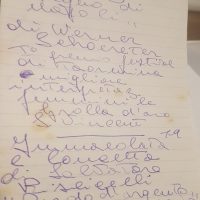 inceneritore 15