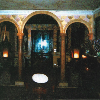 inceneritore 5
