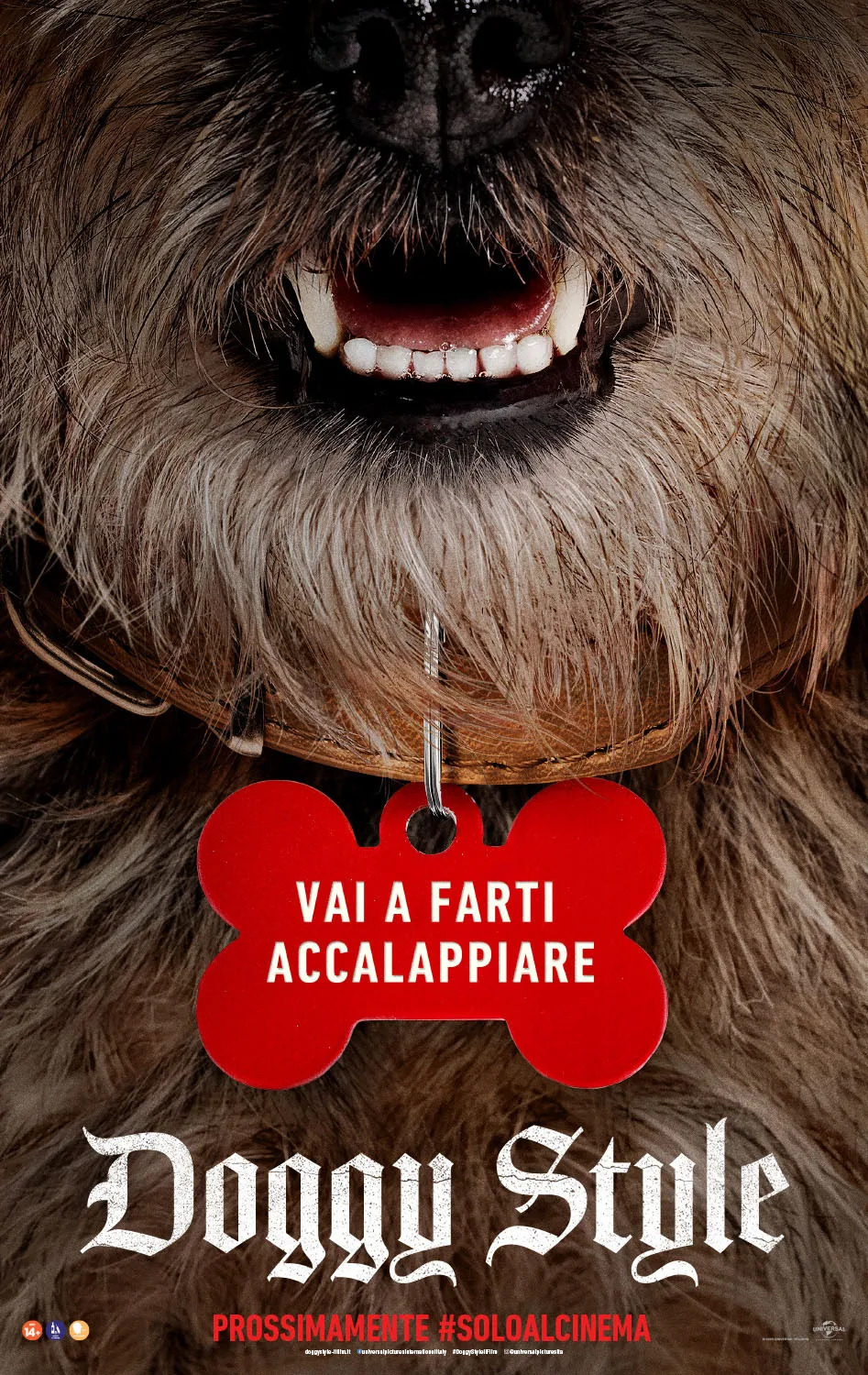 Doggy Style - il trailer italiano della commedia con Will Ferrell.