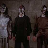 The Five Venoms – I Cinque Veleni.